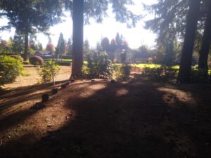 septic-system