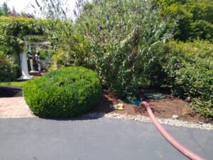 septic-system